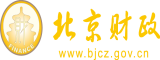 床上插B视频白丝免费北京市财政局