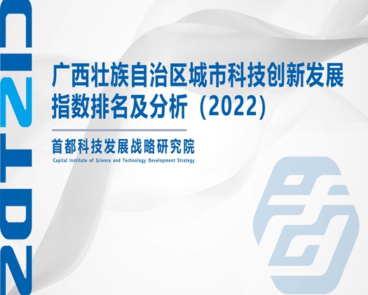 91粉嫩高中生【成果发布】广西壮族自治区城市科技创新发展指数排名及分析（2022）